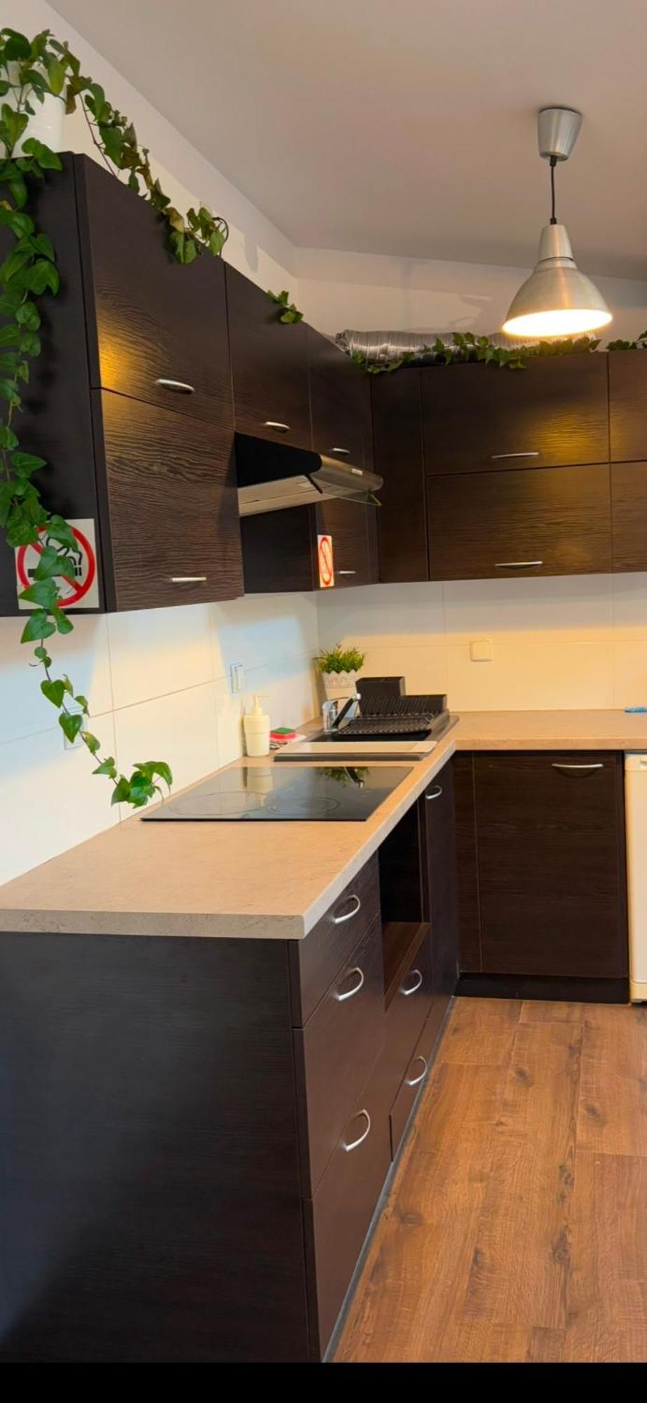 Apartament Szafir 4B Rzeszów Extérieur photo